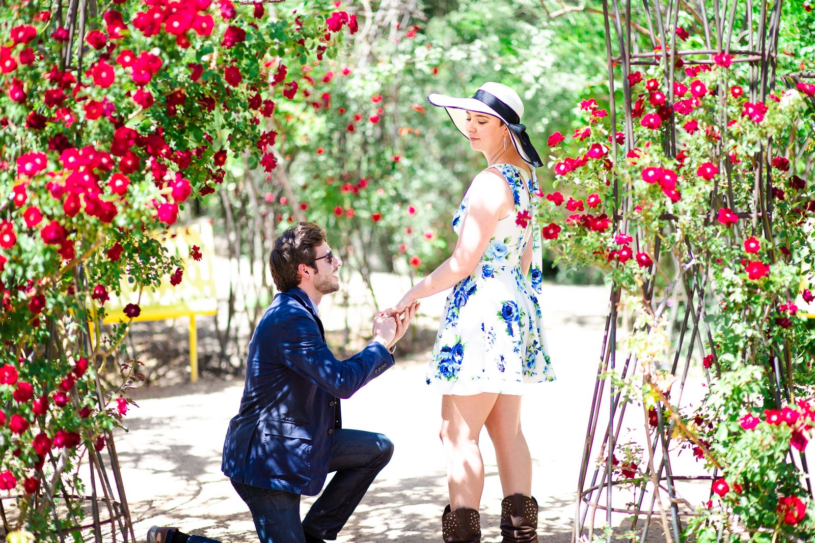 Man kneeling to propose under a rose covered arch